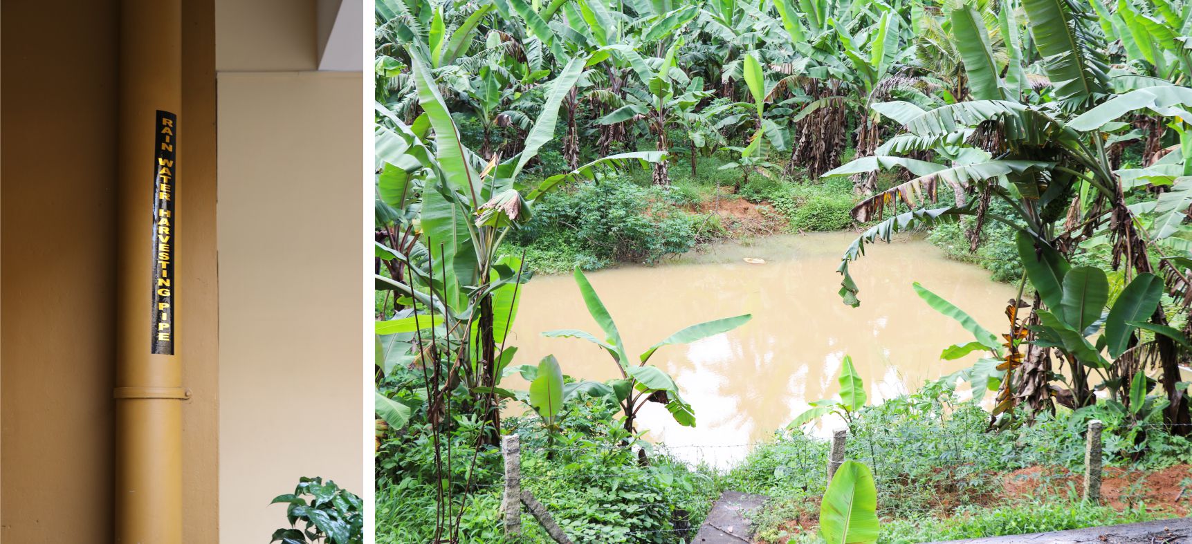 Rainwater Harvesting